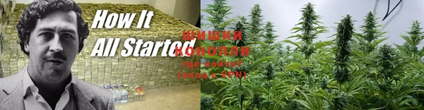эйфоретик Краснотурьинск